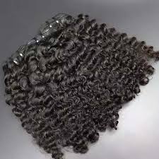Burmese Curly